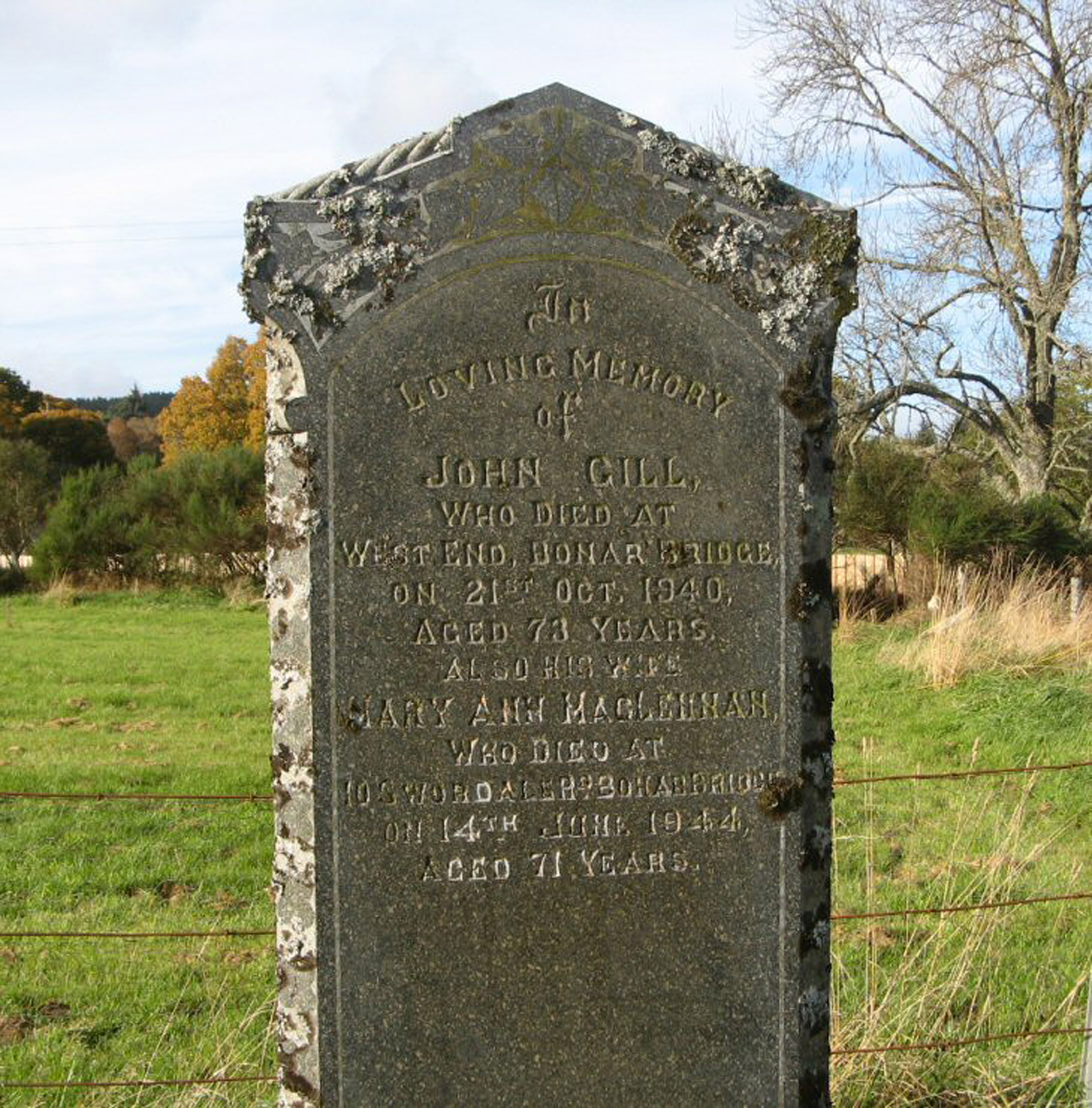 Photo of headstones/Mary Ann Gill died 1944 MI Kincardine